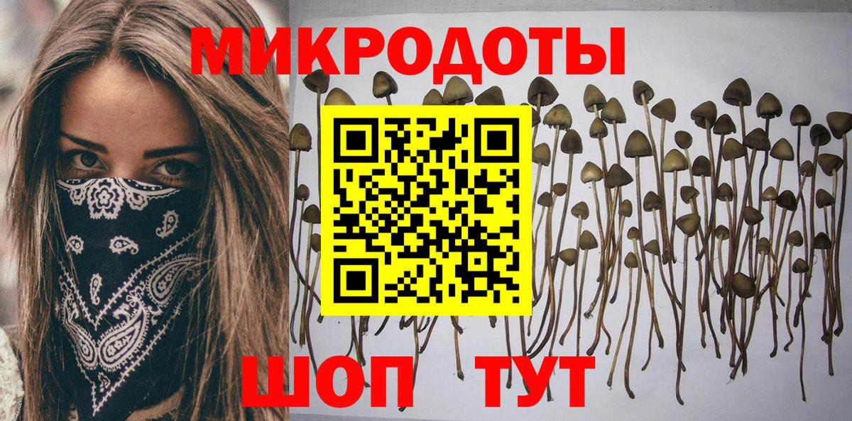 Галлюциногенные грибы прущие грибы Озёрск